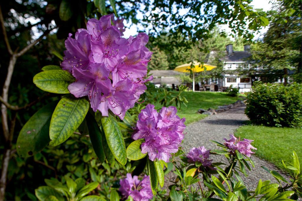 Romantik Hotel Stryckhaus Willingen  Eksteriør bilde